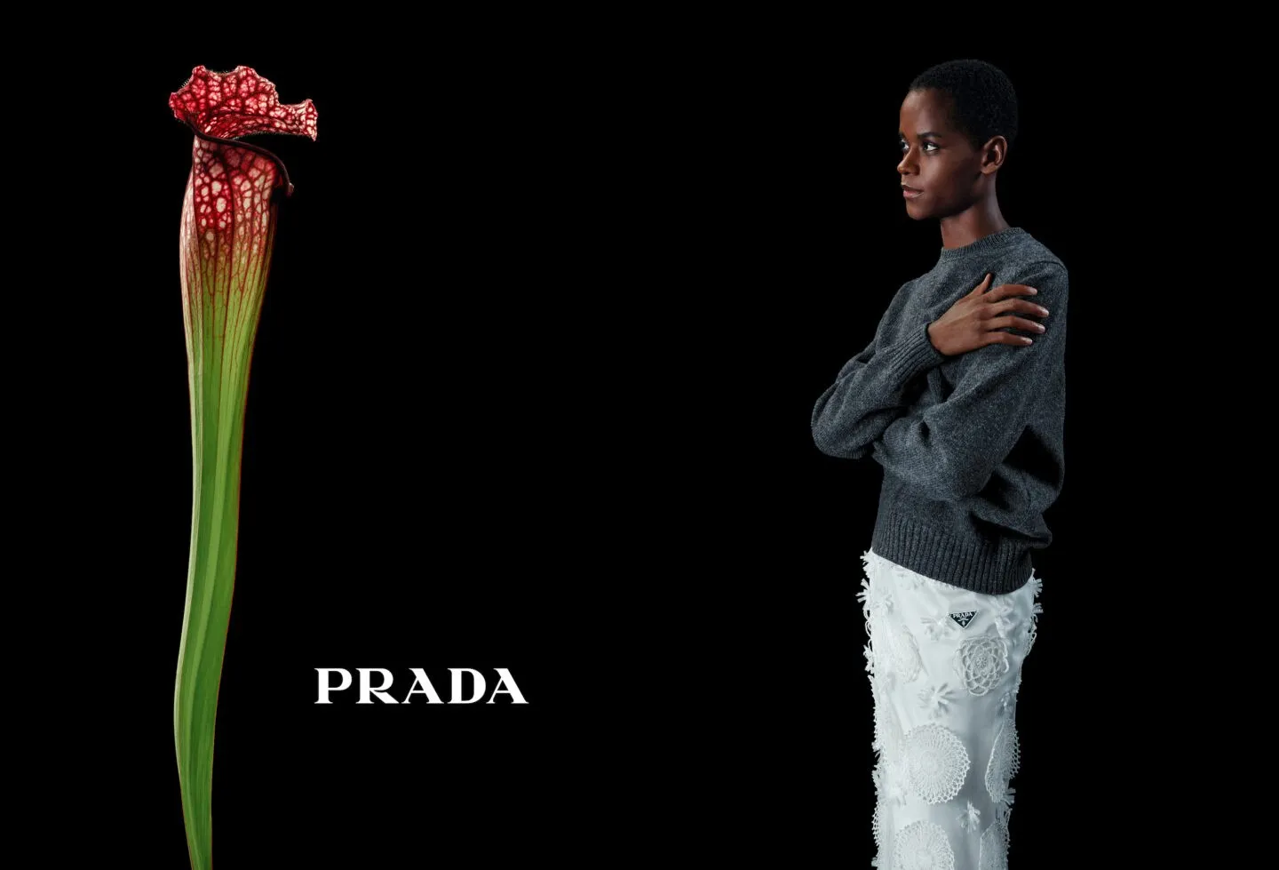 Рекламная кампания Prada «В разговоре с цветком» 1