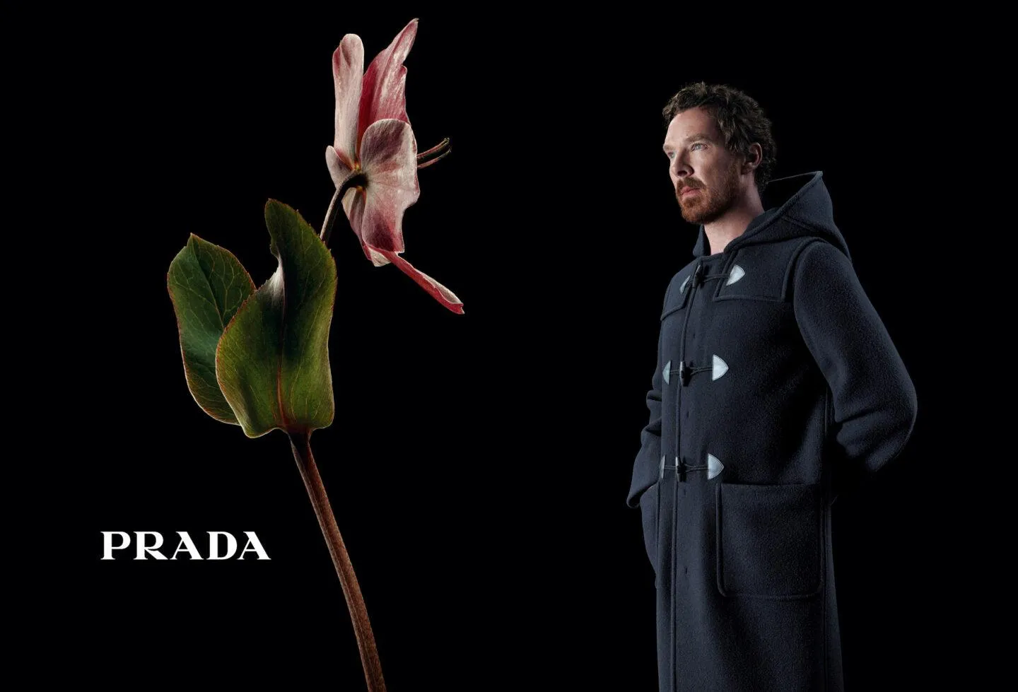 Рекламная кампания Prada «В разговоре с цветком»