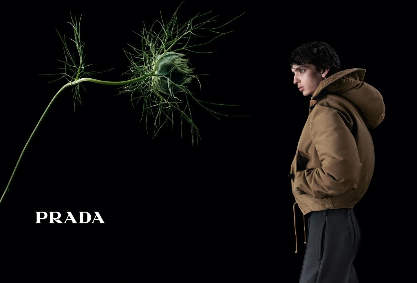 Рекламная кампания Prada «В разговоре с цветком» 4