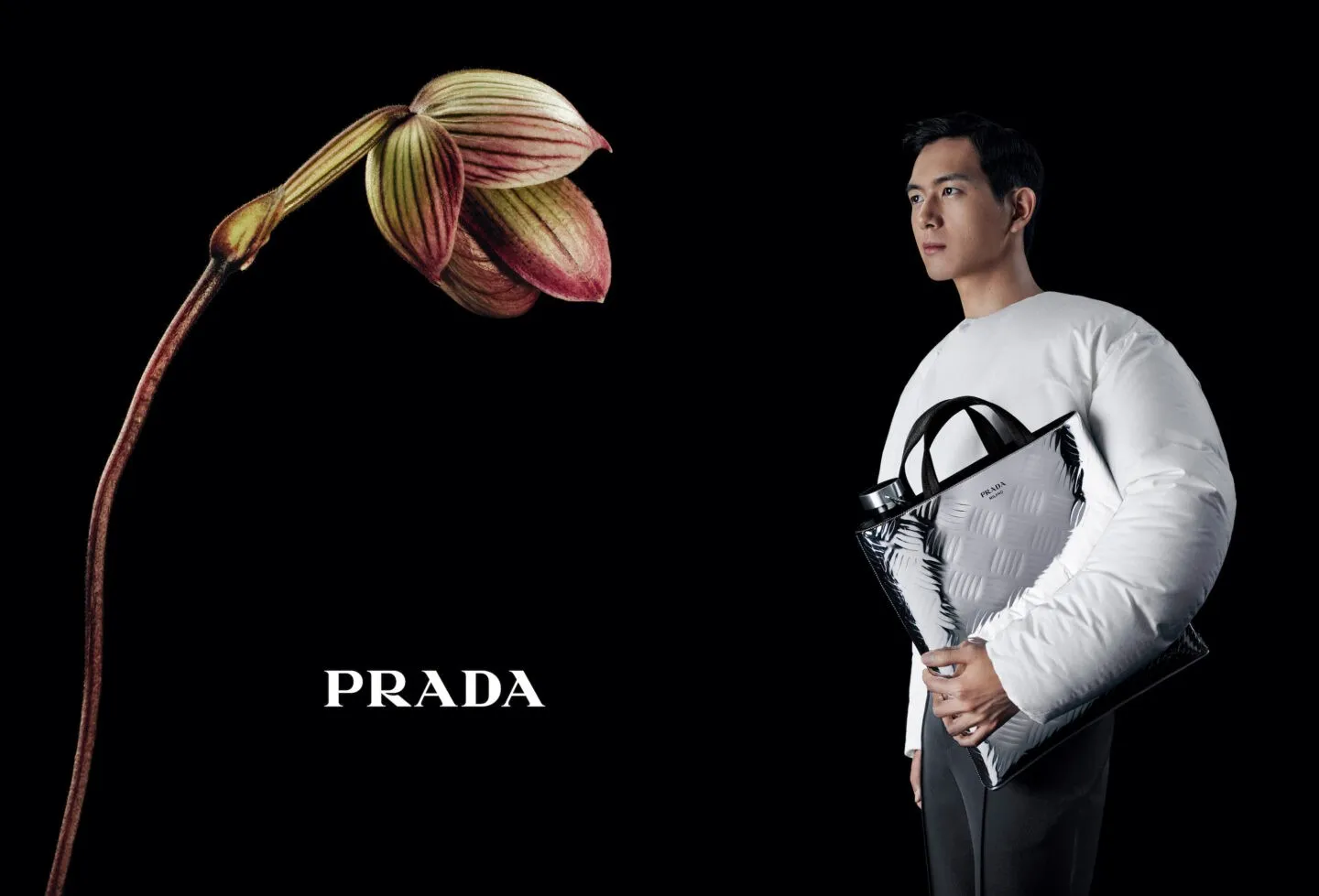 Рекламная кампания Prada «В разговоре с цветком» 3